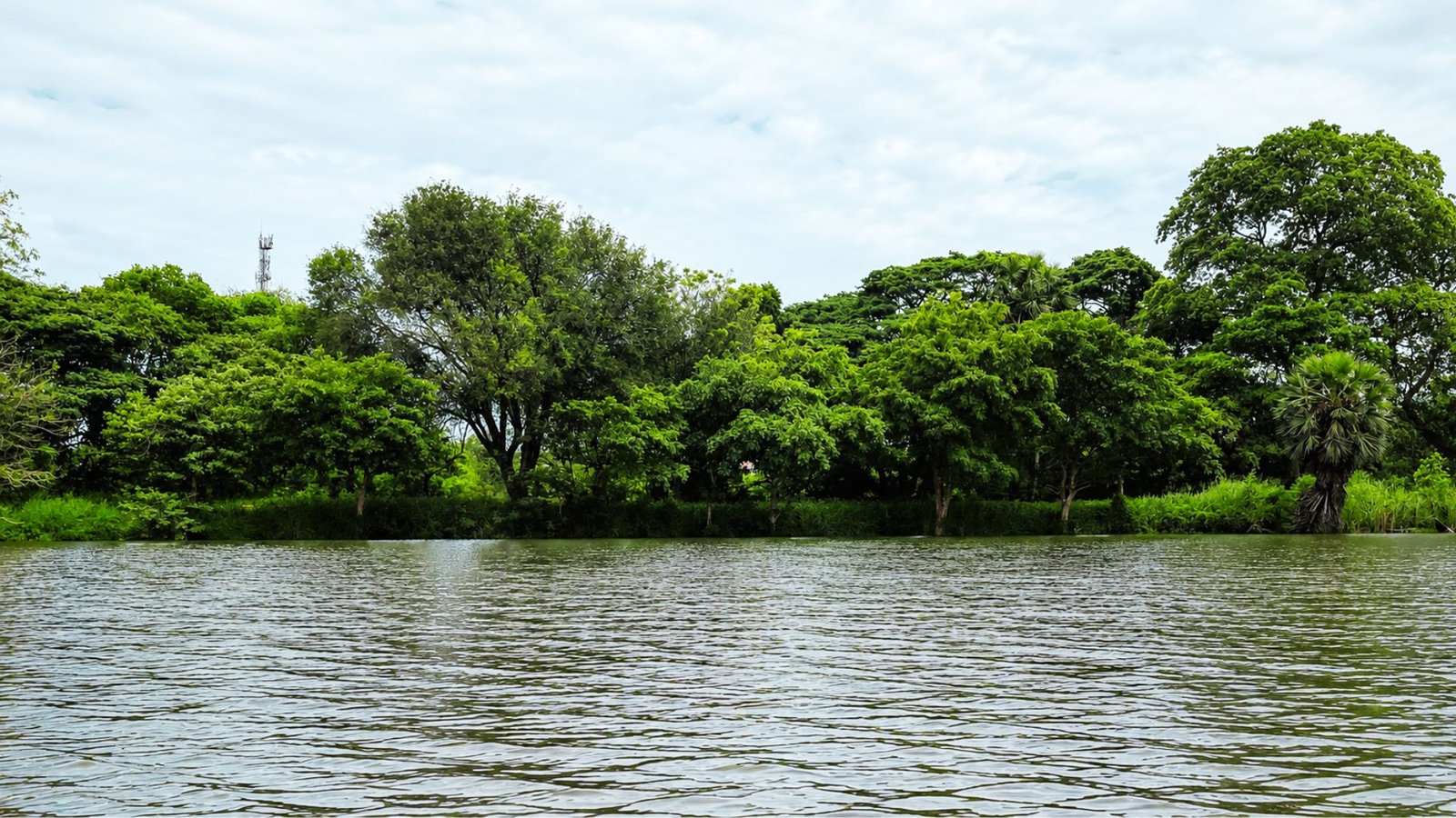 Thirappane Reservoir aerial view, Anuradhapura Sri Lanka